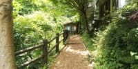 ドライブ！東京都で唯一日本の滝百選「払沢の滝」をハイキングして「日の出山荘」を見学してランチ
