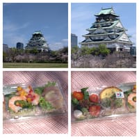 大阪城🏯西の丸公園🌸花見🌸
