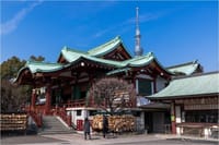 「亀戸天神社の梅まつり」撮影会