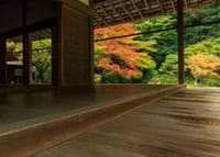 秋の京都散策