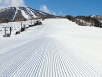 ☆安比高原スキー＆スノーシューを満喫しよう♪温泉＆盛岡観光も楽しめるのでスキーされない方も歓迎！
