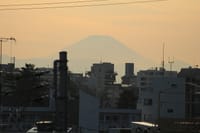 写真は、ＪＲ中央線高円寺駅からの富士山、富士山と東急東横線、アオサギ