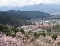 高遠城址公園とは趣が異なる桜めぐり　月蔵山 1192m（４月16日）