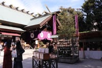 「オバア一年目」：東京大神宮から秋葉原