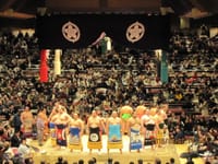 2019年2月　大相撲トーナメント観戦