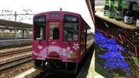 錦川鉄道「お花見列車（利き酒列車）」（五日市）