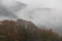 里の山景色 その39「靄の中の紅葉」