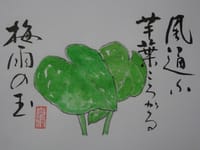絵手紙・芋の葉