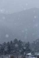 冬景色 その18「昨日の雪景色」