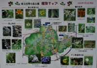 横浜市緑区、県立 "四季の森公園" 散策
