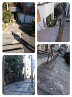 ブラタモリ的な街歩き！新宿四ッ谷