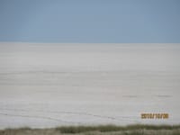 塩湖はボリビアのウユニだけじゃない！ナミビアのエトージャ塩湖