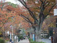 散歩(福岡)