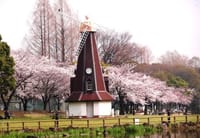 ☆	桜を観る会　パート３　浮間公園（池のほとりの水車さえ　何故か嬉しい愛の詩　・・・２０２１の春は一度だけ）