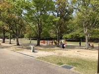 京都の宝ヶ池公園は3歳以上がベスト！！