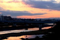写真３枚は、二子玉川駅からの夕暮れ、多摩川台公園で撮ったキビタキとコゲラ