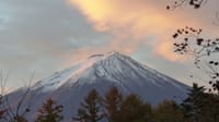 富士桜高原
