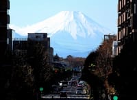 写真３枚は、東久留米駅西口からの富士山、平林寺の紅葉