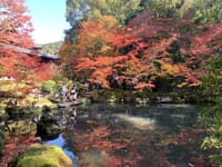 紅葉の京都散策