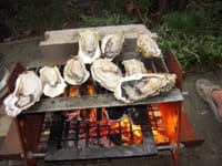 牡蠣焼きました　お取り寄せです　産地は宮城県冷凍物　自家製バーベキューコンロで焼きました。