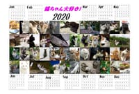 『2020猫ちゃん大好き！カレンダー』　①【郵送希望】の方　②【手渡し希望】の方