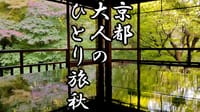 2020 秋 京都人気の紅葉スポット【瑠璃光院】三大名居酒屋【京極スタンド】⠀