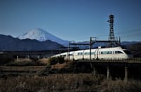 🗻富士山と🚉ロマンスカーの絶景スポット：酒匂川河川敷