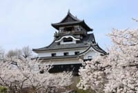 【季節の花３】　サクラサク　②　犬山城の桜の開花　