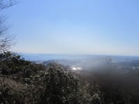 (中止）ひと足早く春を感じながら三浦富士から武山へハイキング