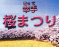 3/28Tue幸手の権現堂で桜のお花見