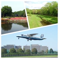 武蔵野の道ハイキング👟　野川～調布飛行場～神代植物公園～深大寺