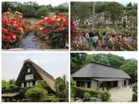 （再提案） 生田バラ苑と日本民家園