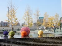 大阪駅近辺の風景（その１）　　フラワー・ボール