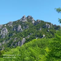 岩と新緑の瑞牆山（2230m 日本100名山）