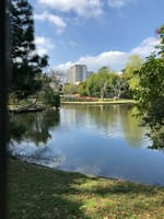 リハビリの後、菊田公園神社、津田沼駅周辺散策