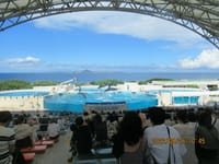 ちむどんどんの沖縄に行ってきました。