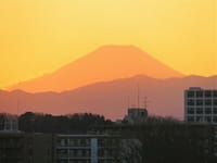 多摩川大橋から見た日没後の富士山、鎌倉殿を支えた梶原景時の墓、名馬磨墨するすみ