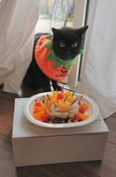 黒猫とんちゃんの日記　今日はぼくの誕生日で～す♪