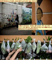 画像シリーズ373「住民の家の柵での無料の野菜と衣類の配布」”Pembagian Sayur dan Pakaian Gratis di Pagar Rumah Warga”