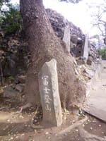 品川神社の富士塚