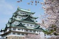 春爛漫🌸名城公園～名古屋城の桜を楽しみましょう♪