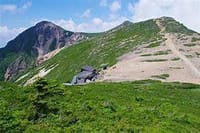 夏沢鉱泉～根石岳ハイキング