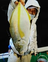 和歌山見老津港・黒龍丸の半夜便でシマアジ釣りに行って来ました。
