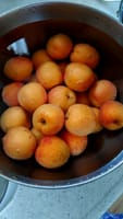 杏の甘煮
