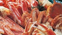（愉快）ズワイ蟹の美味しさを生、焼、鍋、天ぷらでフルに味わう≪かに三昧贅沢フルコース全8品≫