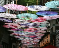 小樽、観光地、堺町にて　傘の花