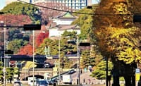 写真は、フォーラム前から撮った二重橋と伏見櫓、東京駅と草間彌生の作品、二子玉川駅から撮った朝の富士山