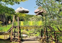 11/15 奈良の自然と緑の(平成榛原子供のもり公園)で遊びませんか