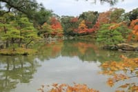 ☆ 秋風に吹かれて町田の名公園を散策（想い出の小径を少しだけ遠回りして帰りませんか・・・今日は）