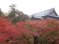 ２０１８年１１月２６日(月)　京都（東福寺・永観堂・南禅寺）紅葉
